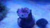 20151127_143341.jpg