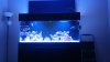 20151130_142852.jpg