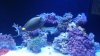 20151130_142907.jpg