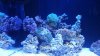 20151130_142912.jpg