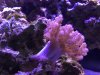 IMG_0971.jpg