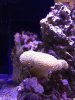 IMG_1002.jpg