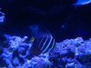 DSCN2719.JPG