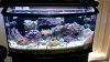 Oceanic 90g BF DT.jpg