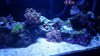 20160105_165346.jpg