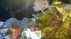 20160105_165545.jpg