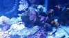 20160105_165556.jpg
