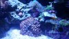 20160105_165520.jpg