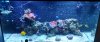 VZM.IMG_20160113_211910.jpg