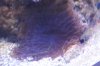 DSC04613.jpg