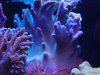 DSC04427.JPG