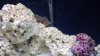 IMG_20160124_115156711.jpg