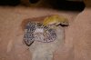 DSC04764.JPG