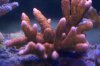 DSC04826.JPG