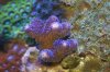 DSC04828.JPG