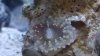 20160217_180453.jpg