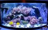 _20160120_072902.JPG