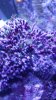 20160224_060815.jpg