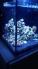 20160322_151417.jpg