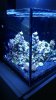 20160322_151447.jpg
