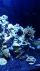 20160322_151400.jpg
