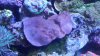 20160327_194725.jpg