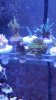20160402_161342.jpg