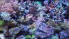 20160403_160442.jpg
