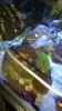 20160406_165834.jpg
