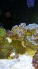 20160406_165816.jpg