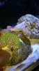 20160406_165714.jpg