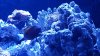 20160413_200937.jpg