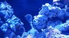 20160413_201228.jpg