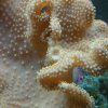 IMG_20160511_155722.jpg