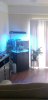 IMG_20160505_103625.jpg