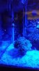 20160504_221644.jpg