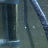 IMG_20160701_224413.jpg