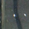 IMG_20160701_224421.jpg