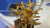 20160705_161214.jpg
