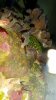 20160712_113622.jpg