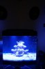 DSC05069.jpg