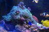 DSC05095.jpg