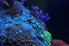 DSC05097.jpg