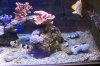 DSC05106.jpg
