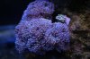 DSC05107.jpg