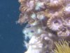 20160903_125755.jpg