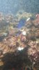 20160917_235815.jpg