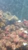 20160917_235757.jpg