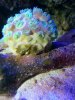 IMG_20160925_114528.jpg