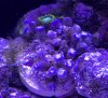 IMG_4416.JPG